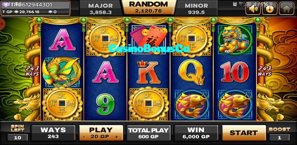 available types of CasinoBonusCa bet including pre-match live express and system bets