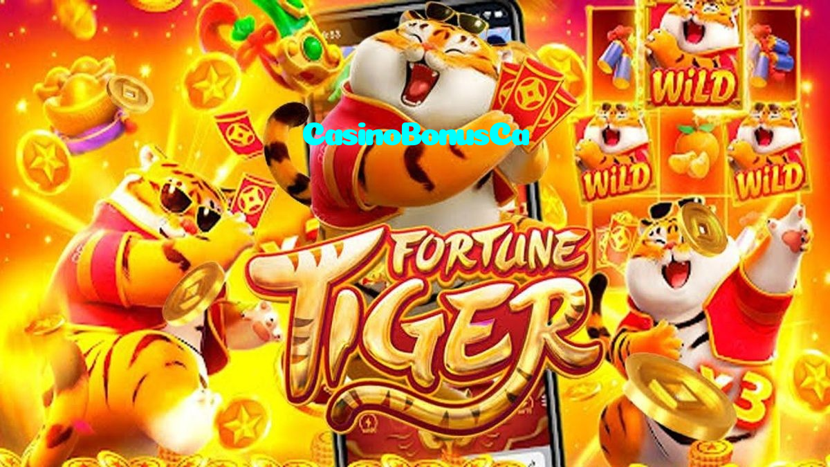 CasinoBonusCa casino presented on mobile device in Pakistan with slots and live games