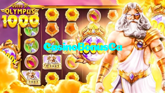 available types of CasinoBonusCa bet including pre-match live express and system bets